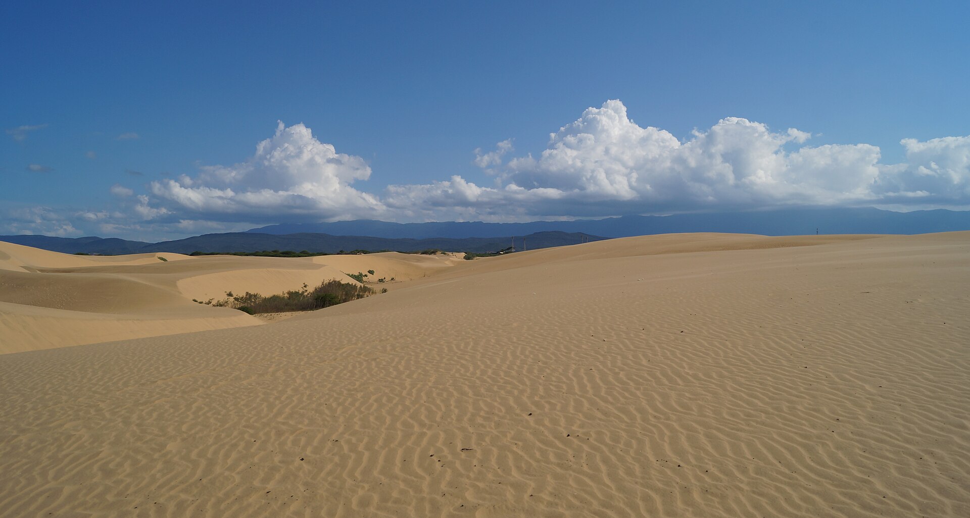 Dunas de arena amarilla del Parque Nacional Médanos de Coro, en Falcón.